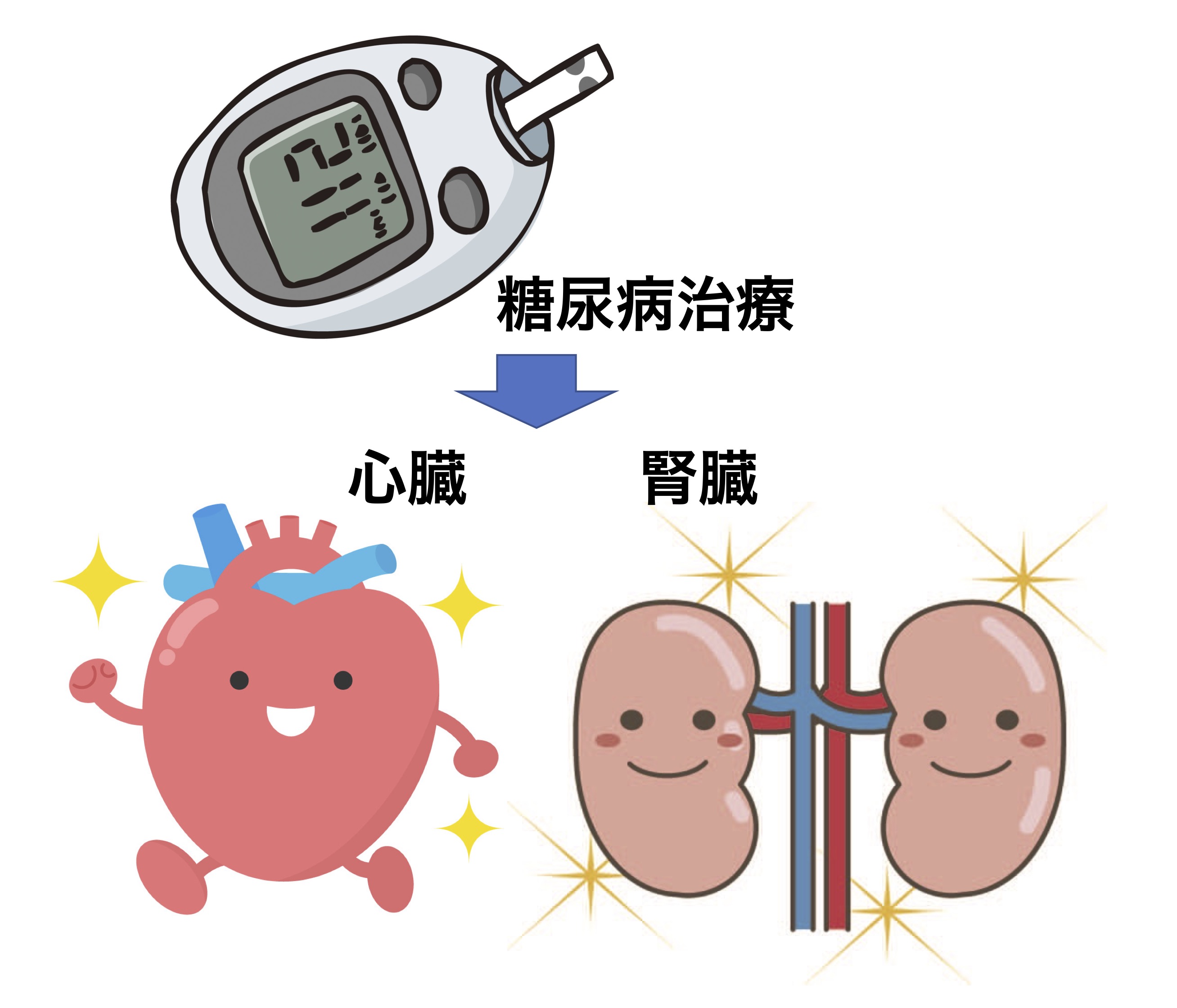 最新の糖尿病治療 – 糖尿病治療が心臓病・腎臓病を予防する - 高津駅前はら内科ハートクリニック